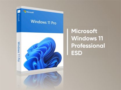 Microsoft Windows 11 Pro digital