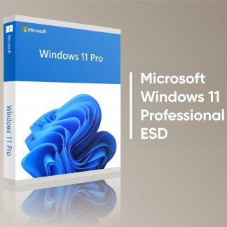 Microsoft Windows 11 Pro digital