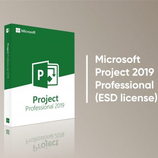 Microsoft Project 2019 Pro